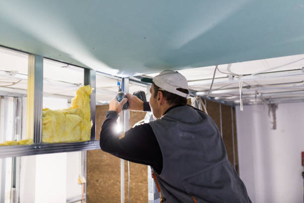 Best Spray Foam Insulation  in Ranger, TX