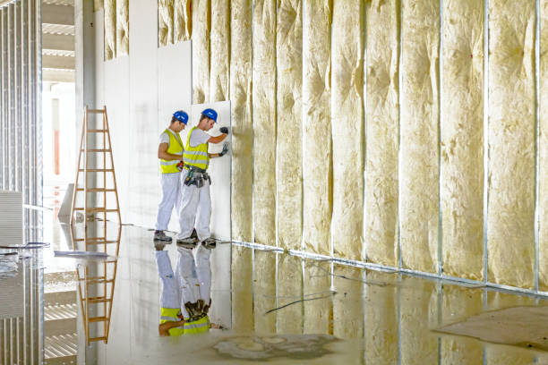 Best Insulation Contractor Near Me  in Ranger, TX